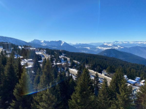 Les Balcons d'Edelweiss